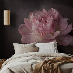Elegant Pink Peony