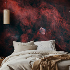 Cosmic Bubble Nebula