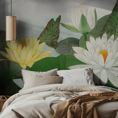 Nymphaea Lotus No.2