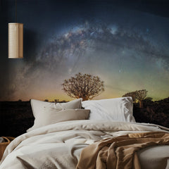 Stars Over Quiver Trees