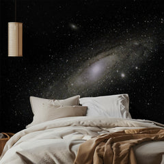 Andromeda Galaxy Stars