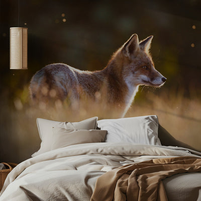Last Light Fox rumsbild 2