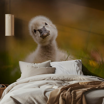 Black Swan Baby rumsbild 2
