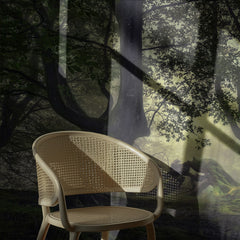 Enchanted Forest Mist