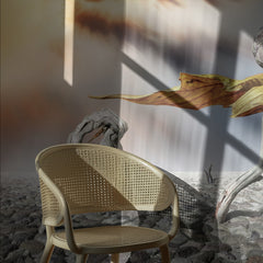 Snail Shell Desert Dream