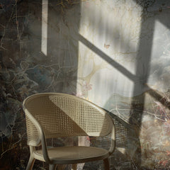 Enchanted Forest Dream