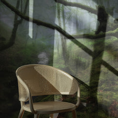 Enchanted Forest Waterfall
