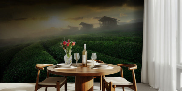 misty sunrise in tea garden bild 2