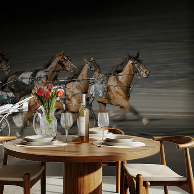 Horseracing - action from the harness racing track rumsbild 2