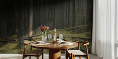 Serene Forest Landscape