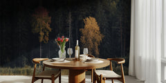Autumn Forest Contrast