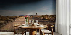 Open Desert Road