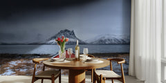 Red Cabin Winter Fjord