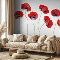 Ladybird Poppies