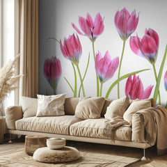 Tulip blush