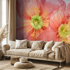 Papaver