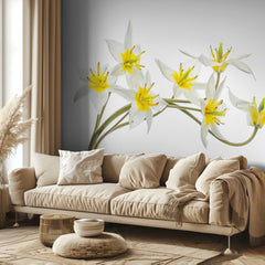 Tulipa Tarda