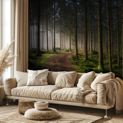 The forest rumsbild 2