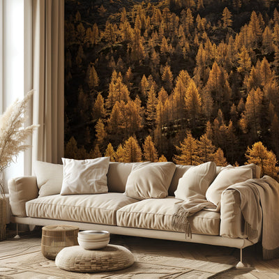 larches in autumn rumsbild 2