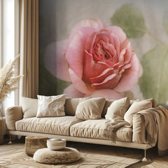 Soft Pink Rose