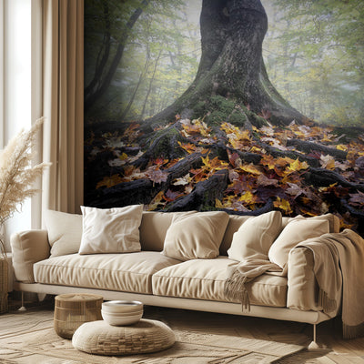 Autumn rumsbild 2