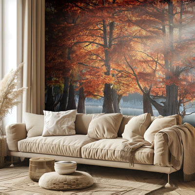 Sunny Cypress Trees rumsbild 2