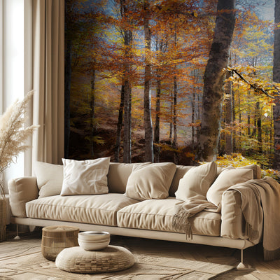 Fall colors rumsbild 2