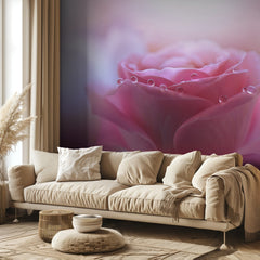 Pink Rose Droplets