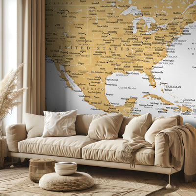 Golden map of USA and Mexico rumsbild 2
