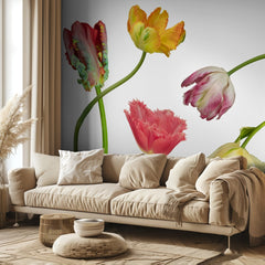 Unique Colorful Tulips