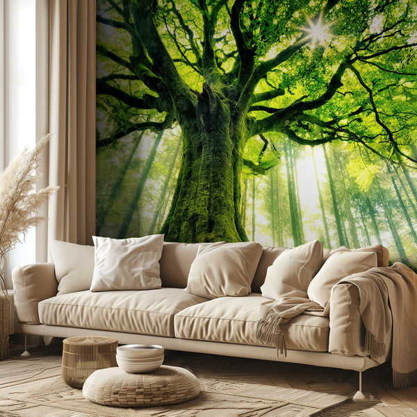 Ponthus's Beech miljöbild 2