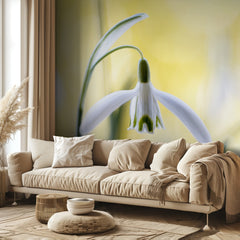 Snowdrops