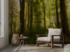 Misty Forest Sunlight