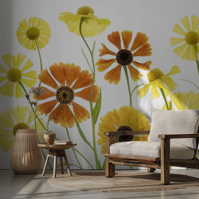 Helenium rumsbild 2