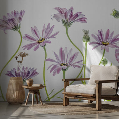 Cape Daisies rumsbild 2