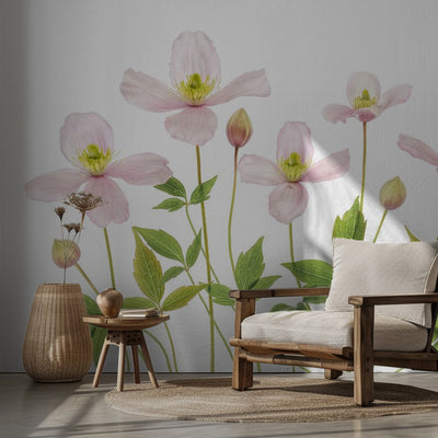 Clematis rumsbild 2