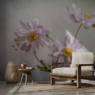 Anemones rumsbild 2