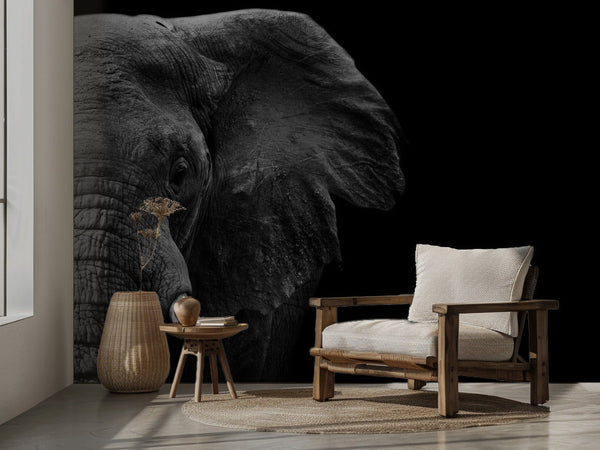 Elefant miljöbild 2