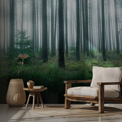 Sjö i skogen rumsbild 2