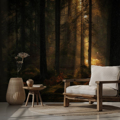 The light in the forest rumsbild 3