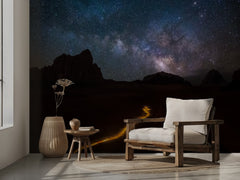 Milky Way Desert Path
