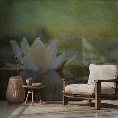 Nymphaea rumsbild 2