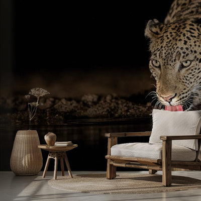 Eye of the tiger - Fototapet leopard ved vannhull rumsbild 2