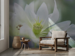 Blommor Serene – kvalitetsprodukt för ett vackrare och mer hållbart hem