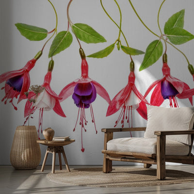.Fuchsia. rumsbild 2