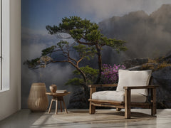 Misty Cliff Pine Blossoms