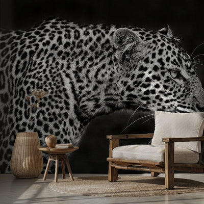 Leopard Close Up rumsbild 2