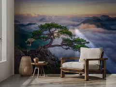 Ancient Tree Mountain Sunrise