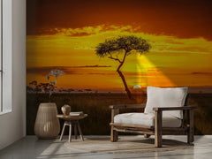 Golden African Sunset