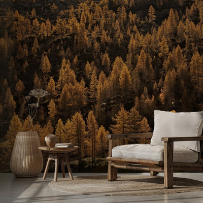 lärkträd på hösten rumsbild 2